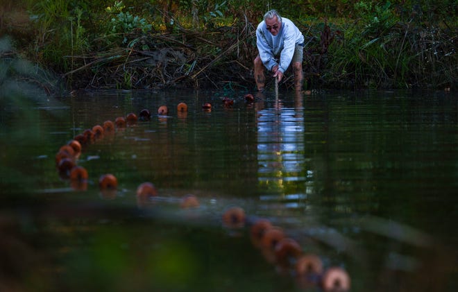 David Cox, un pescador del condado de Crawford, pesca en un estanque de tilapia el lunes 2 de octubre de 2023, en un estanque de tilapia propiedad y operado por Caplinger's Fresh Catch Seafood Market.
